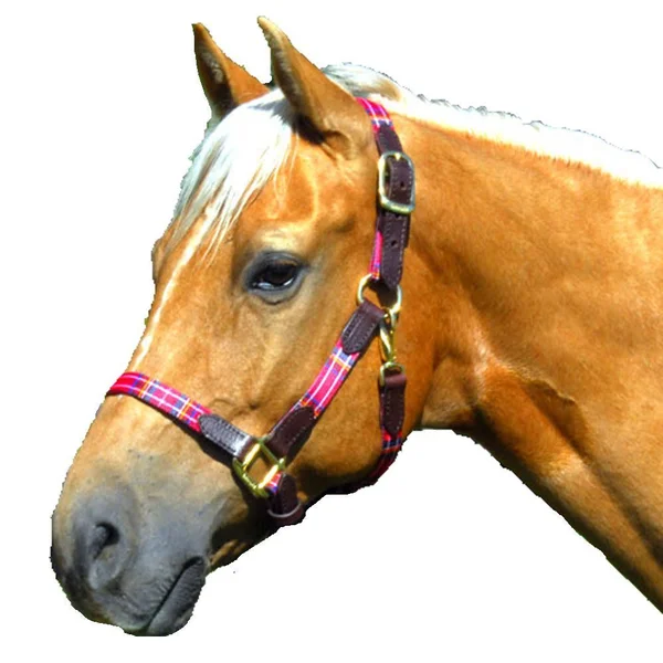 Highland 127000r Halter with Leather Accents - Red Warmblood