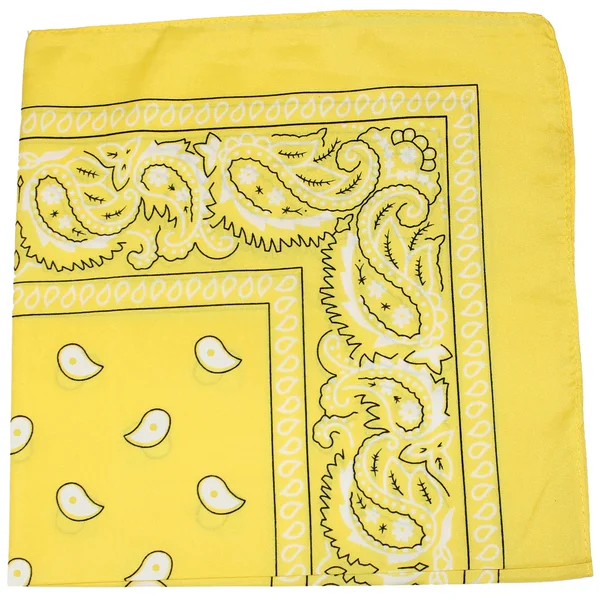 Mechaly Paisley 100% Polyester Unisex Bandanas - 75 Pack - Bulk Wholesale - Yellow