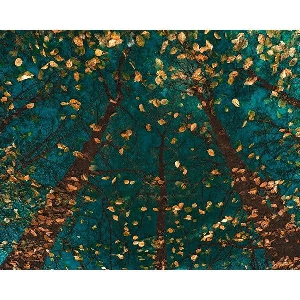 Easy Art Prints Lars Van De Goor's 'Plato's Trees' Premium Canvas Art - 32 x 40 - Brazilian Barnwood Frame