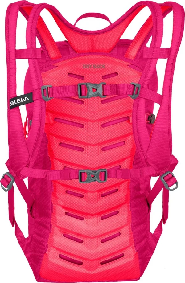 Salewa Backpack Ultra Train 14 BP (Virtual Pink)