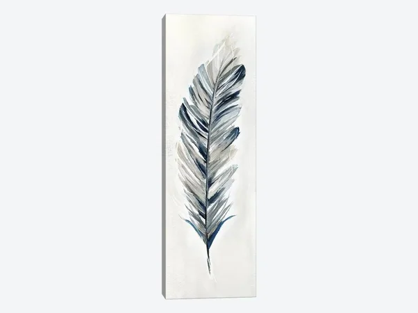 Nan Canvas Wall Art Print - Soft Feather I ( Decorative Elements > Feathers art)