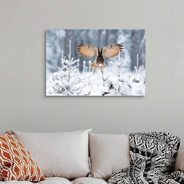 Eurasian Eagle-Owl, Canvas Wall Art, 36x24, Great Big Canvas
