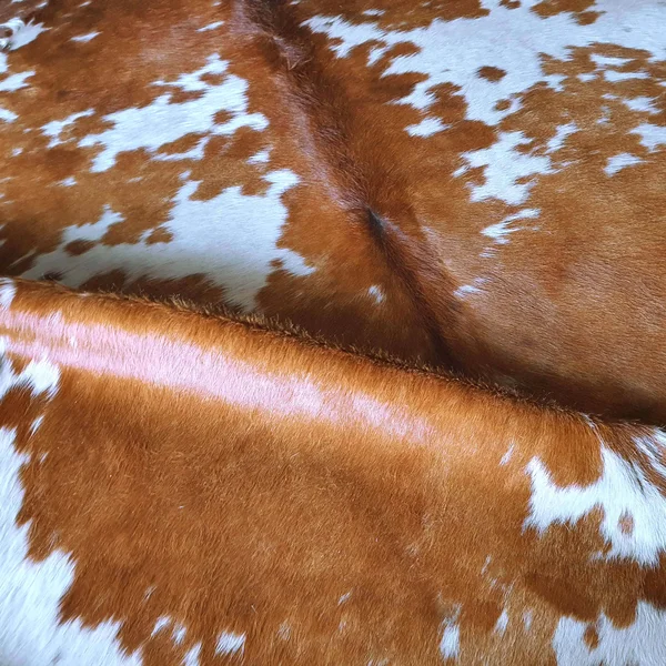 Pergamino Brown and White Cowhide Rug Large (brown/white)