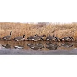 Dakota Decoy Signature Series Feeder Geese 6-Pack
