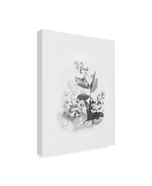 Trademark Fine Art Ic01229-C1419Gg Design Fabrikken 'Evie Fabrikken' C