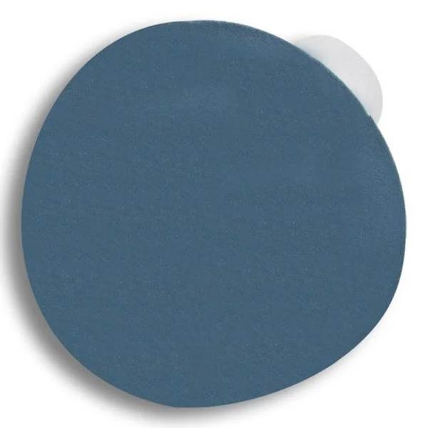 Pasco Abrasives Sanding Disc Sandpaper Tool Color: Blue - Size: 0.06x22 H x 5x22 W x 5x22 D P6.24-05120.DOR