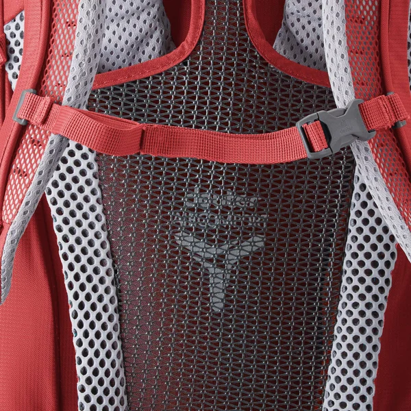Deuter Futura 26 SL Backpack - Cardinal Cranberry