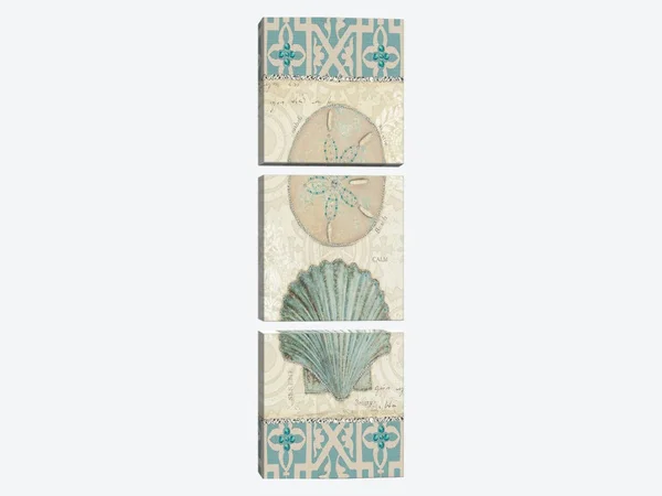 Emily Adams Canvas Art Prints - Beach Treasures III ( scenic & landscapes > Nature > Sea Shells art)