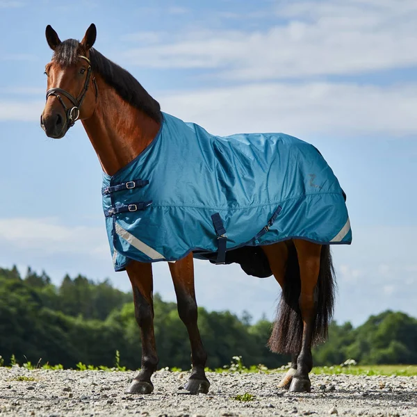 Horze Turin Lightweight Turnout Blanket 50g - Petrol Blue