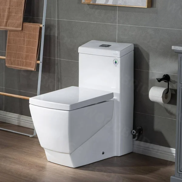 Woodbridge Modern 1-Piece 1.0/1.6 GPF High Efficiency Dual Flush Elongated All-In One Toilet with Soft Closed Seat Included Whit