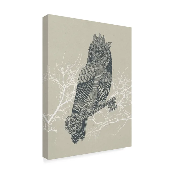 Trademark Fine Art Ali43956-C1824Gg Rachel Caldwell 'Owl King' Canvas
