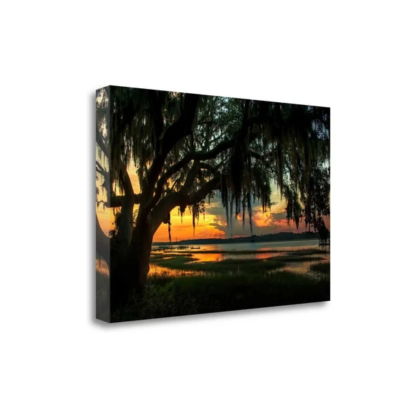 Tangletown Fine Art Savannah Evening by Natalie Mikaels, Giclee Print on Wrap Canvas, 28x18x22
