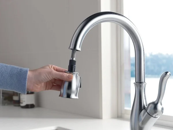 Delta Faucet 9178-AR-DST Leland Single Handle Pull-Down Kitchen with Magnetic