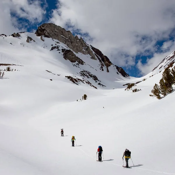 Jones Solution Splitboard (154cm)